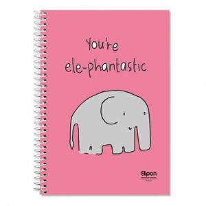 دفتر60برگ دوخط وزیری سیمی فانتزی الیپون کد259کارتن72عددی