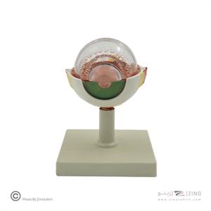 مولاژ چشم10برابر