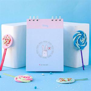 دفتر25برگی B6سایز125*175 کاغذرنگی ابرنگی خرگوشی برگ سری بانی استایل کد70853